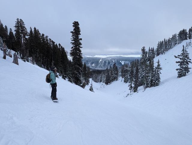 Mt. Hood Meadows