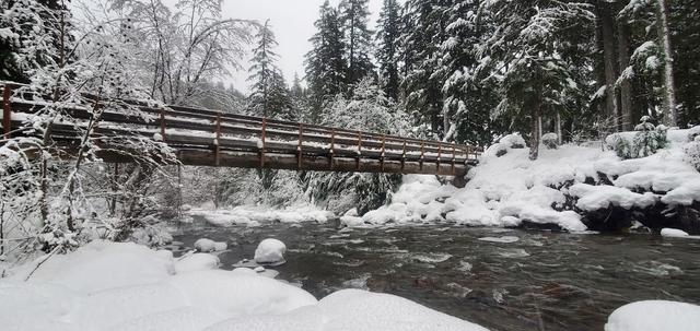 Tamanawas Falls Trailhead