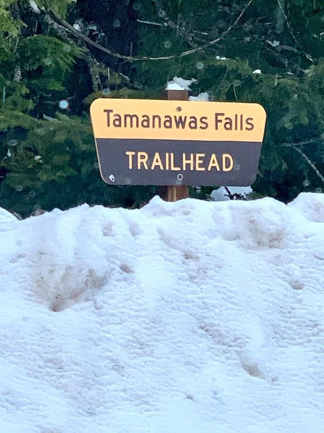 Tamanawas Falls Trailhead