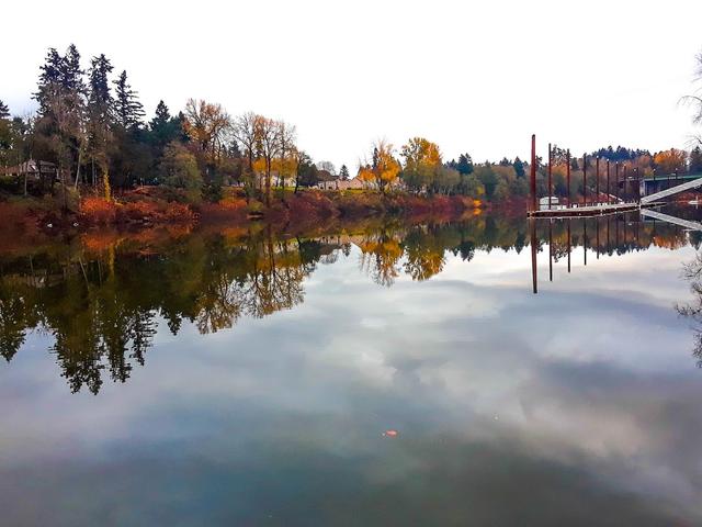 Wilsonville Memorial Park on the Willamette River