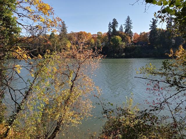 Wilsonville Memorial Park on the Willamette River