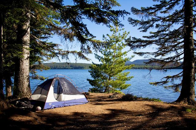 Timothy Lake