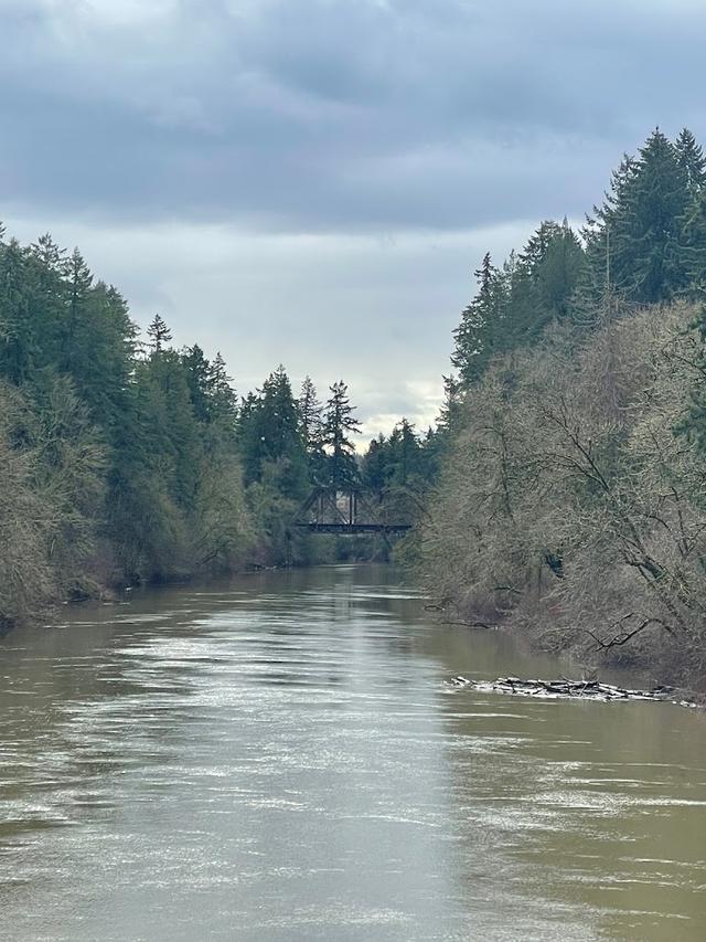 Cook Park on the Tualatin River