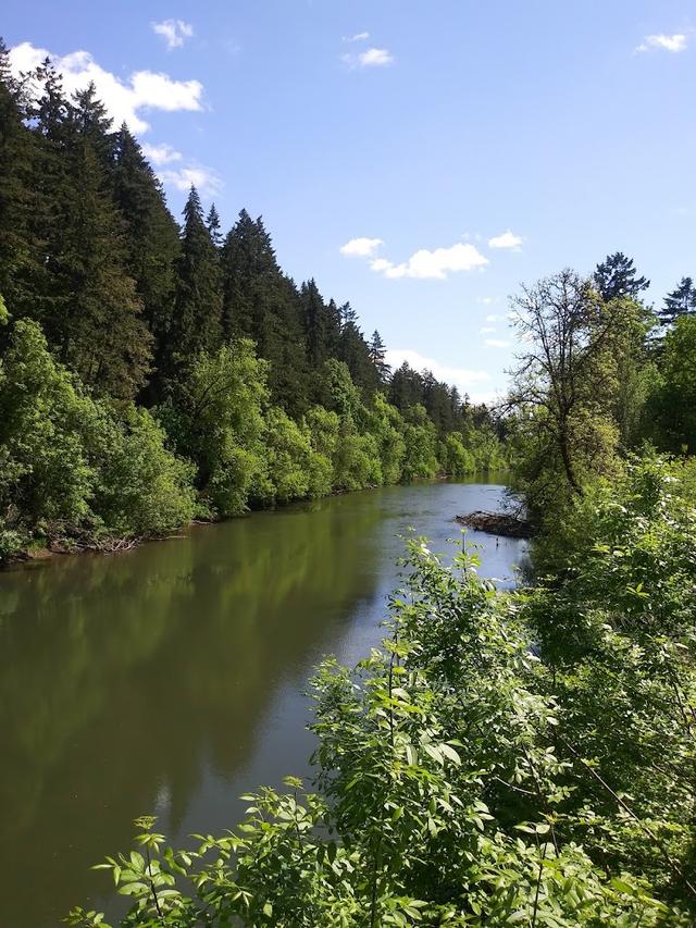 Cook Park on the Tualatin River