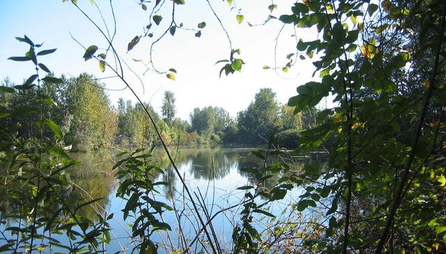 Whitaker Ponds Natural Park on the Columbia Slough