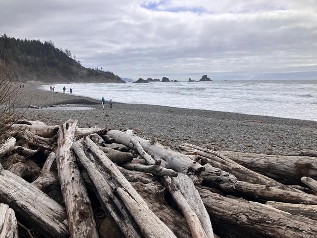 Indian Beach in Escole State Park