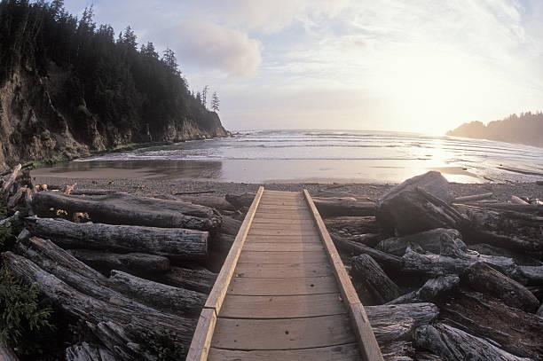 Short Sand Beach in Oswald West State Park