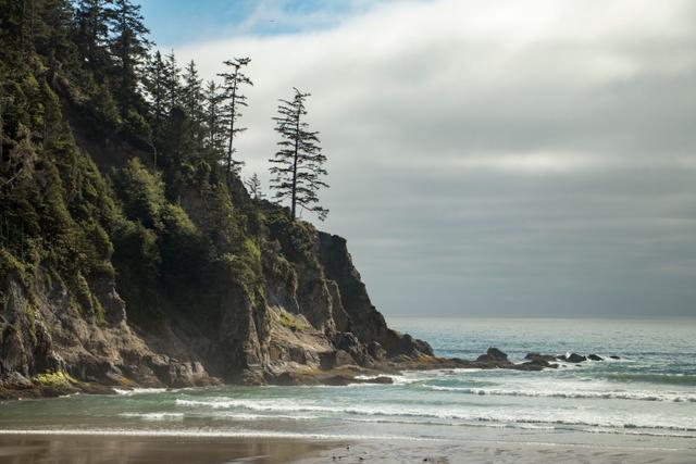 Short Sand Beach in Oswald West State Park