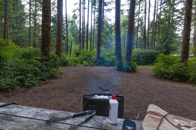 Silver Falls Campground