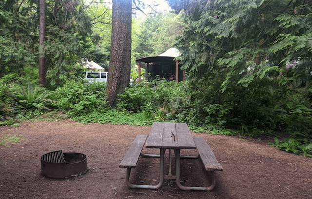 Cape Lookout State Park campground