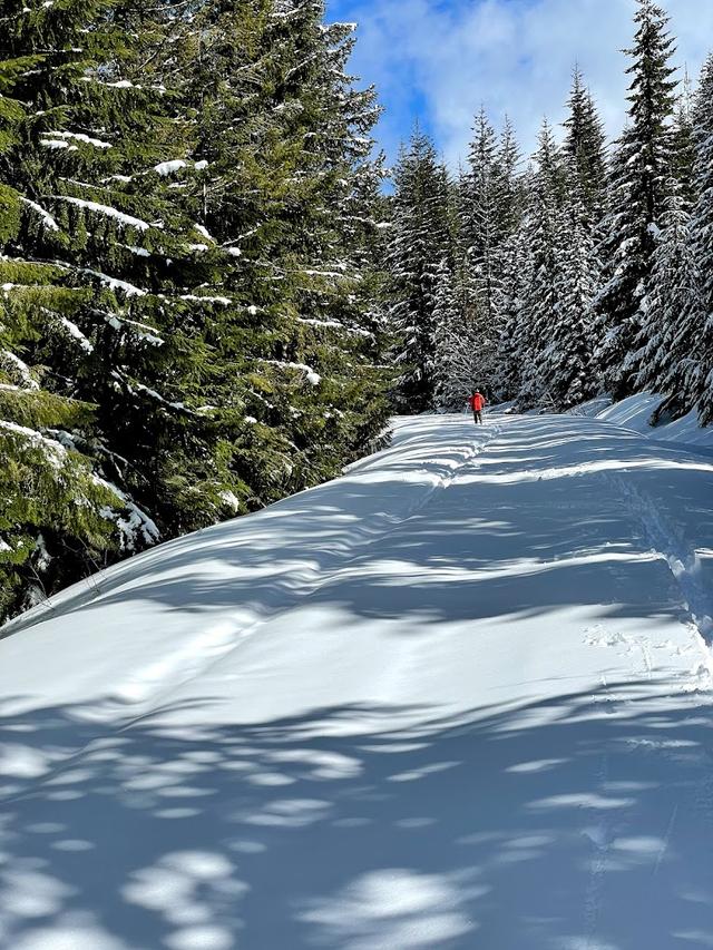 Teacup Nordic Snow Park