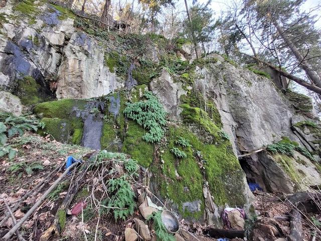 Rocky Butte Natural Area