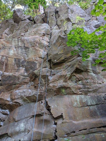 Madrone Wall Park