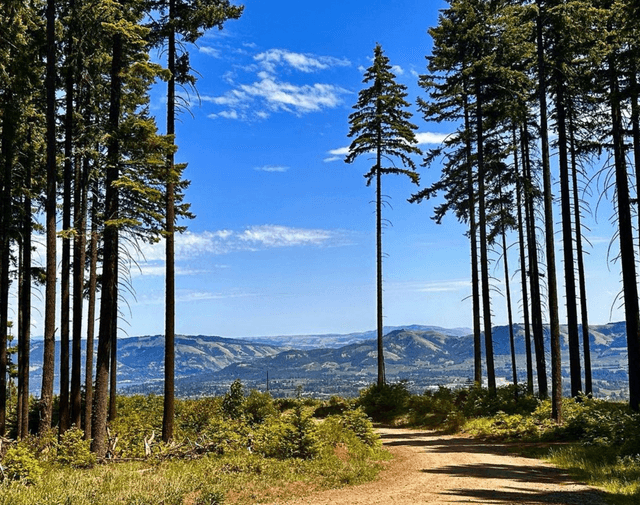 Post Canyon Trail System