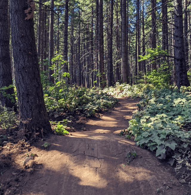 Post Canyon Trail System