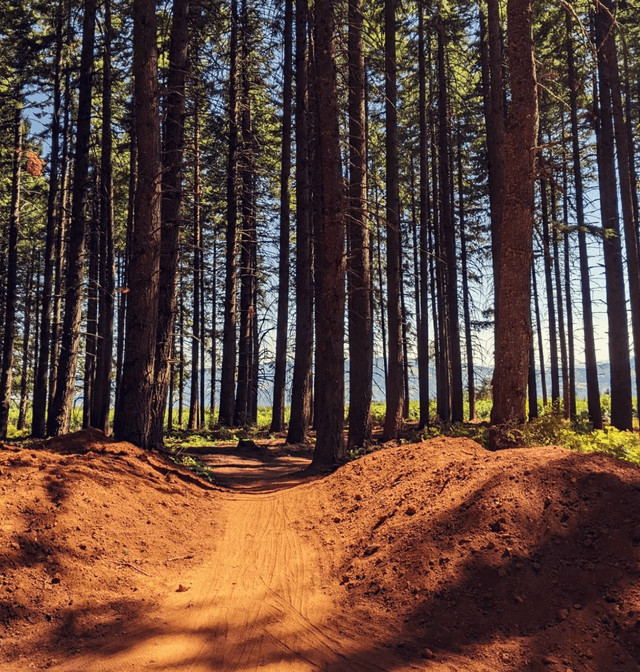 Post Canyon Trail System