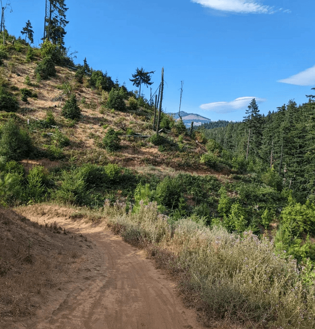 Post Canyon Trail System