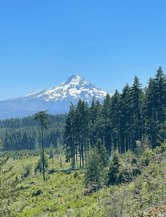 Post Canyon Trail System