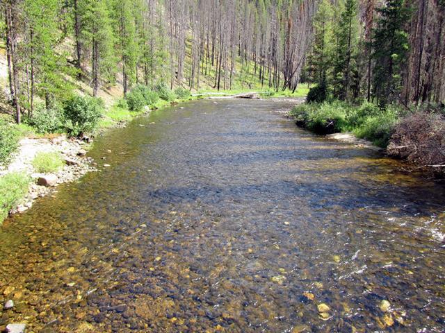 Secesh River Trailhead