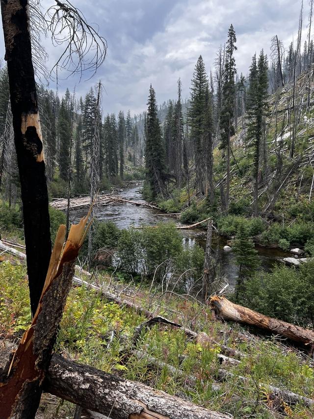 Secesh River Trailhead