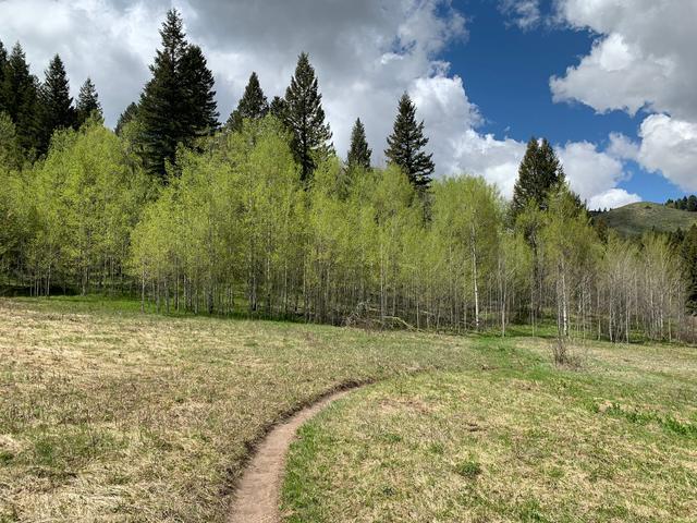 West Fork Mink Creek Trailhead