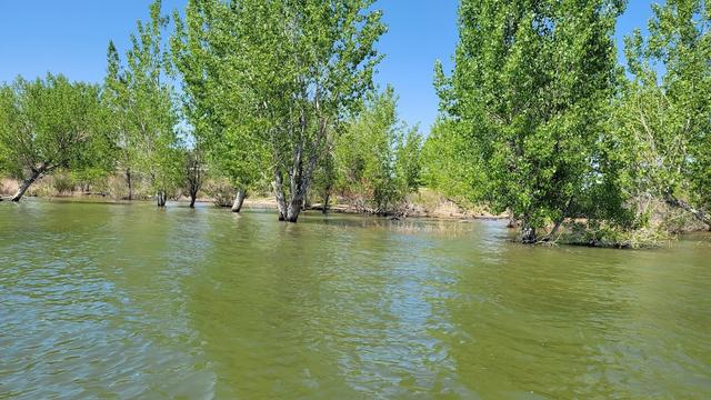 Lake Lowell