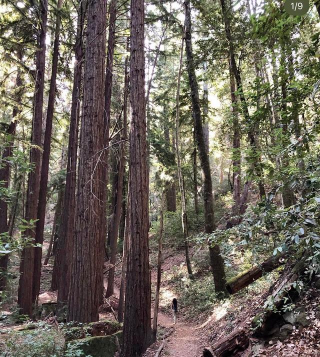 Sunnyvale Mountain Trailhead