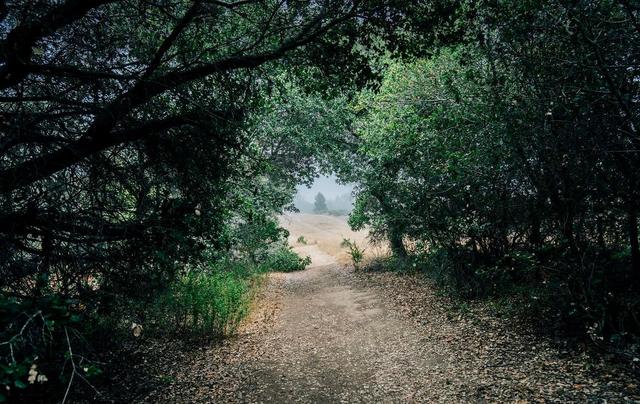 Lookout Trailhead