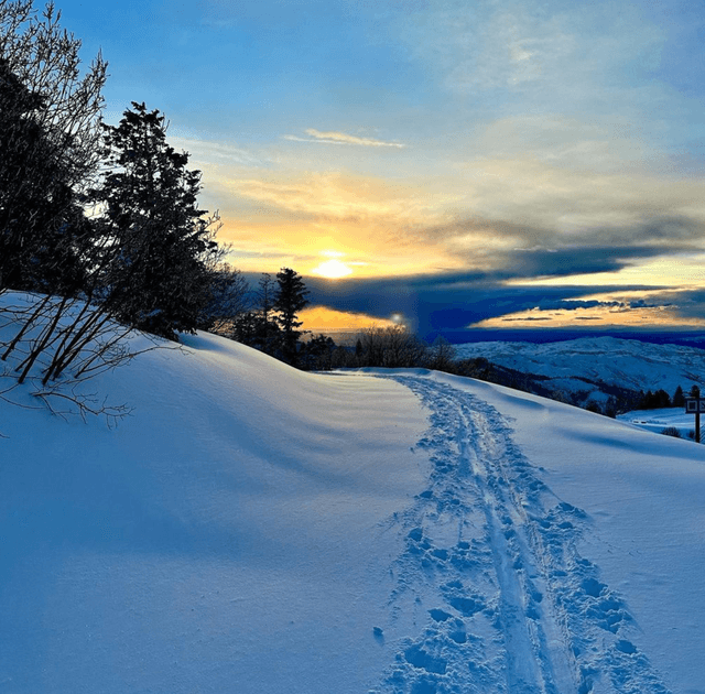 Bogus Bain Mountain Recreation Area