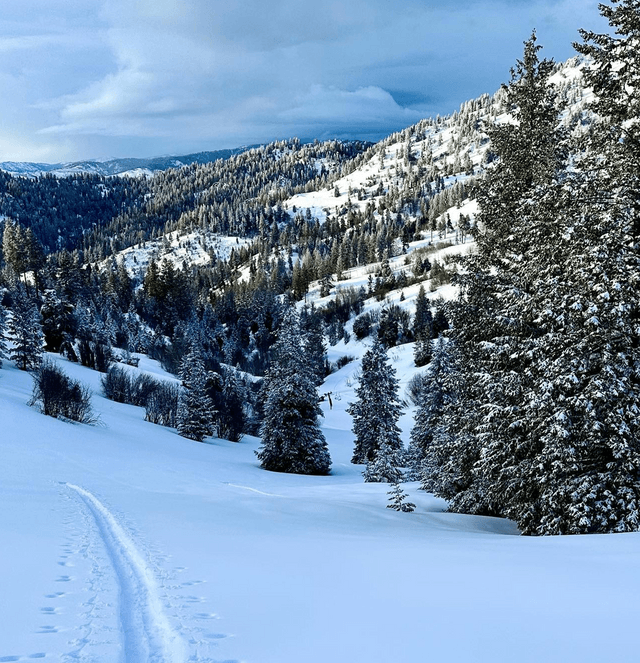 Bogus Bain Mountain Recreation Area