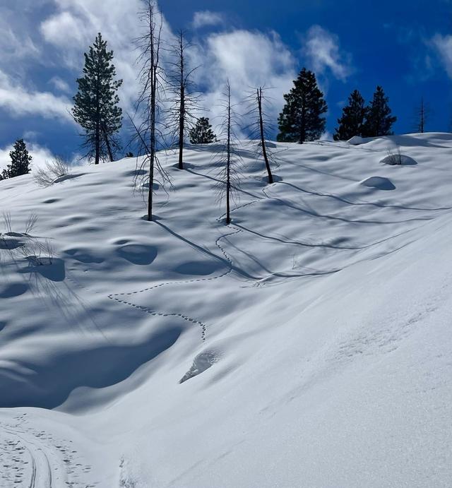 Gold Fork Hot Springs Service Road