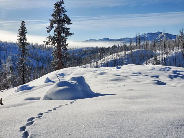 Gold Fork Hot Springs Service Road