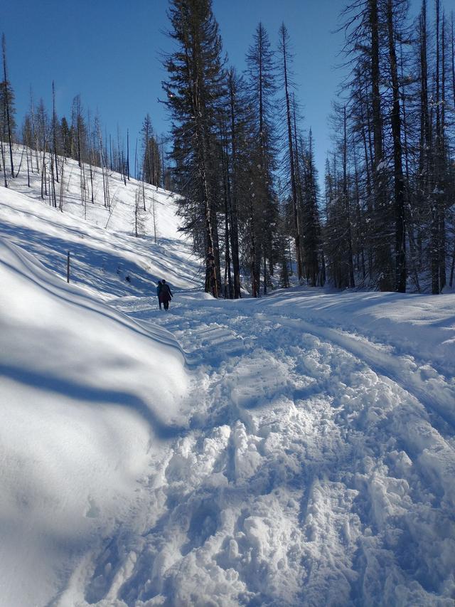 Gold Fork Hot Springs Service Road