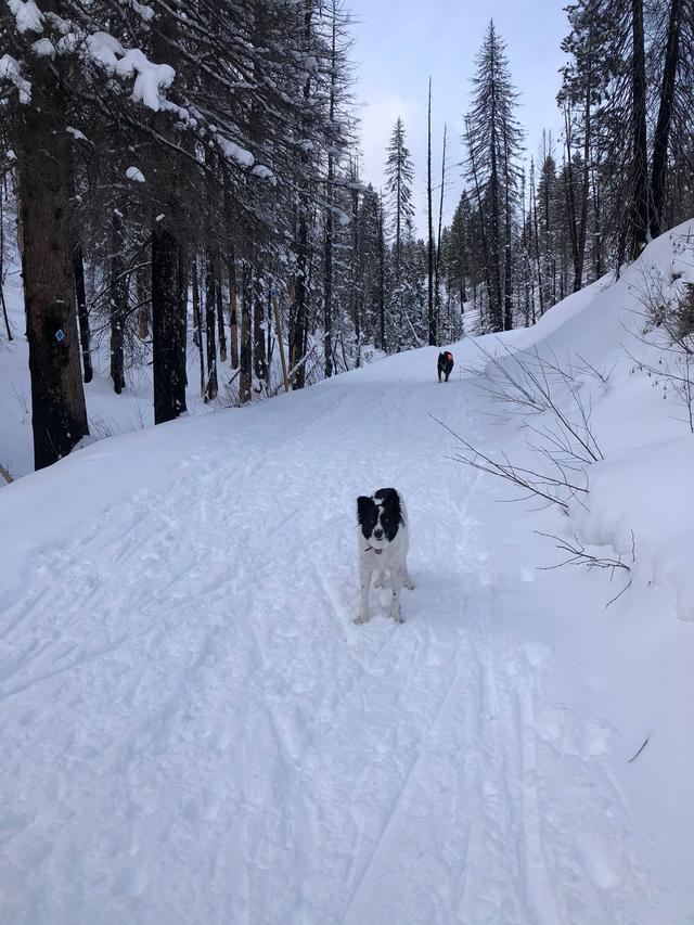 Gold Fork Hot Springs Service Road