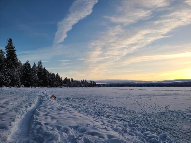 Ponderosa State Park