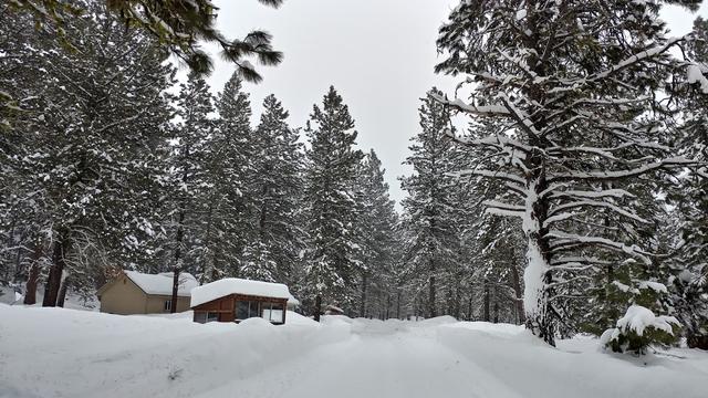 Ponderosa State Park