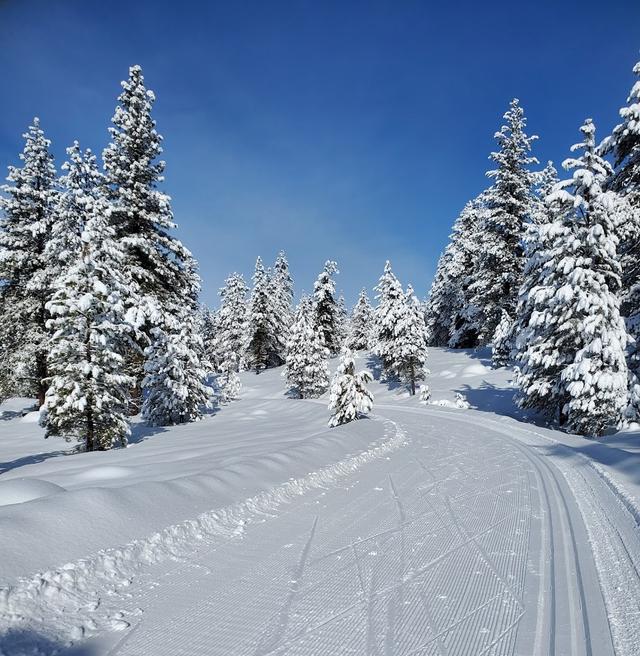 Ponderosa State Park