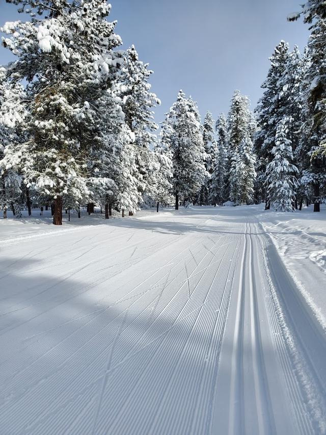 Ponderosa State Park