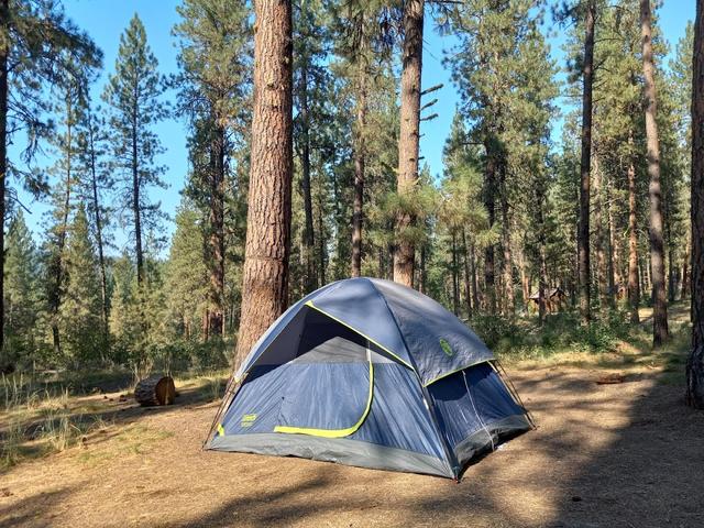 Grayback  Gulch Campground