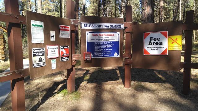 Grayback  Gulch Campground