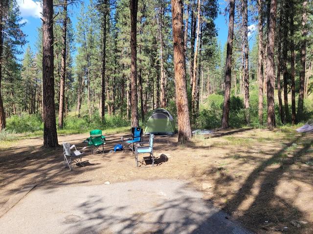 Grayback  Gulch Campground