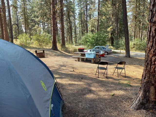 Grayback  Gulch Campground