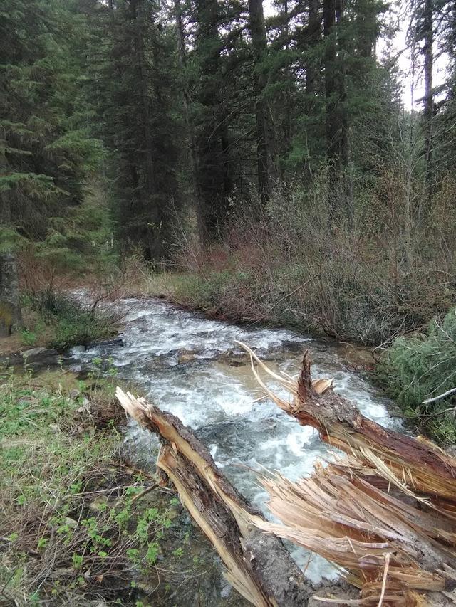 Ten Mile Campground