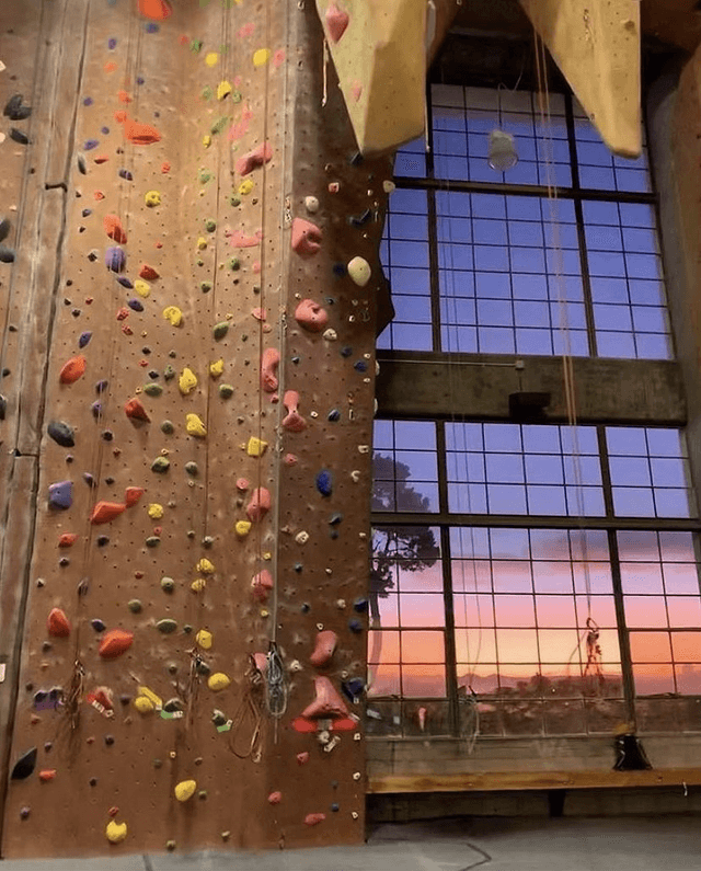 Movement Climbing & Fitness