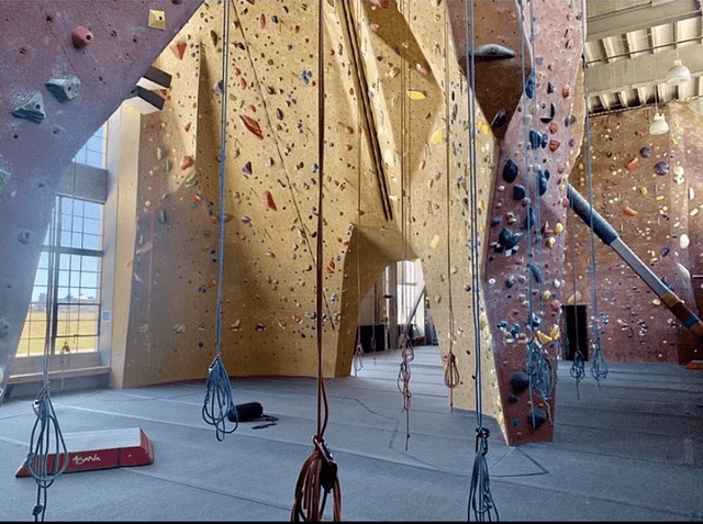 Movement Climbing & Fitness