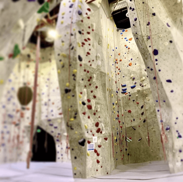 The Studio Climbing Gym