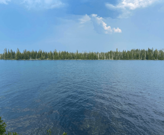 Sparks Lake Day Use Area