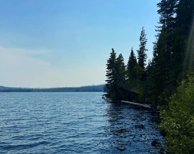 Sparks Lake Day Use Area