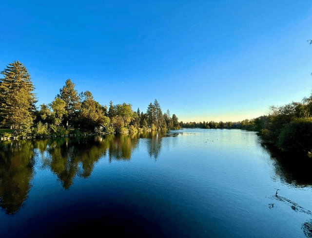 Mirror Pond