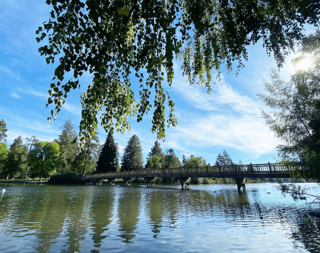 Mirror Pond